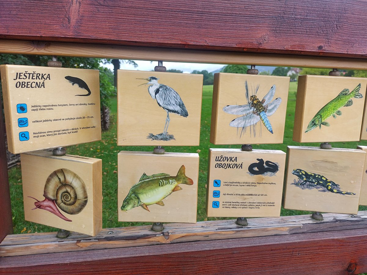 obrázek k projektu: ArborPark na Ježkově nábřeží